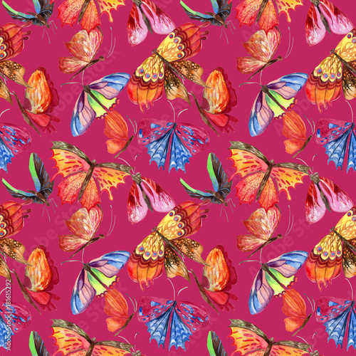 Exotic  butterfly wild insect pattern in a watercolor style. Full name of the insect   butterfly. Aquarelle wild insect for background  texture  wrapper pattern or tattoo.