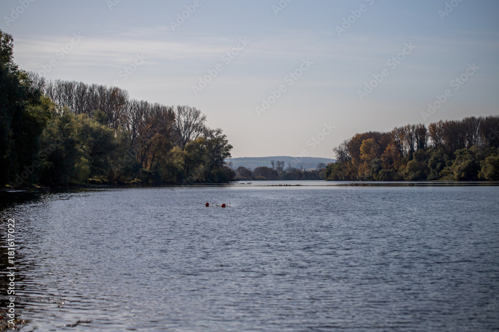 Rheinufer bei Ingelheim im Herbst