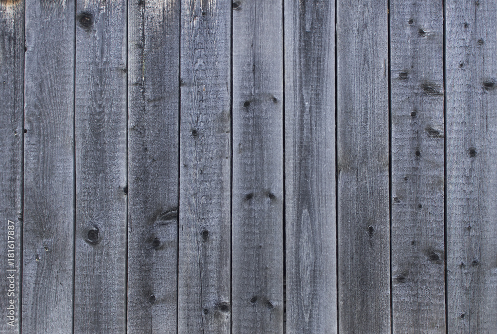 wood texture. background old panels wood texture. background old panels