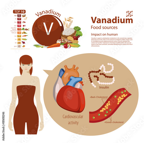 Vanadium. Impact on human