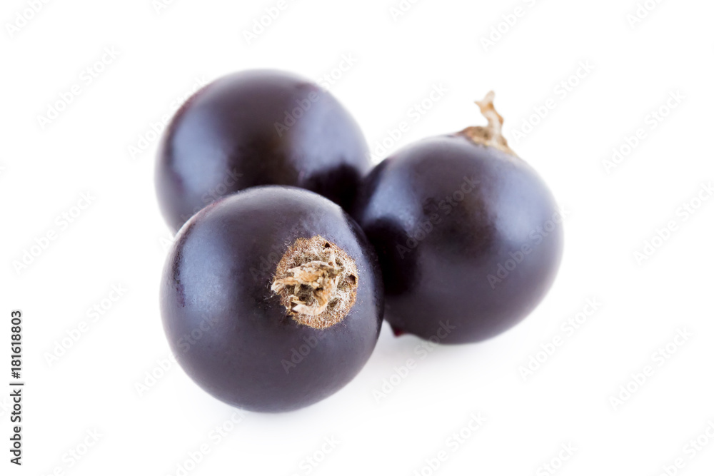 Three black currants isolated on white Three black currants isolated on white