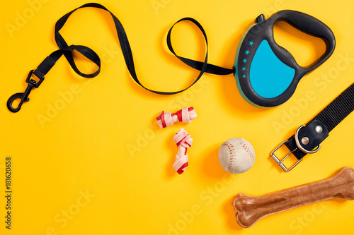 Black leather dog collar, bone, ball and blue leash attached on yellow background. Top view