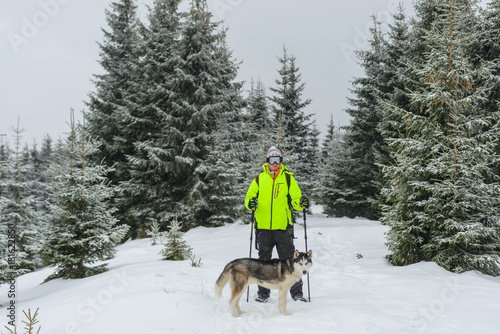 A climber with a Husky dog on a hiking in the mountains in the middle of the trees covered with snow. 