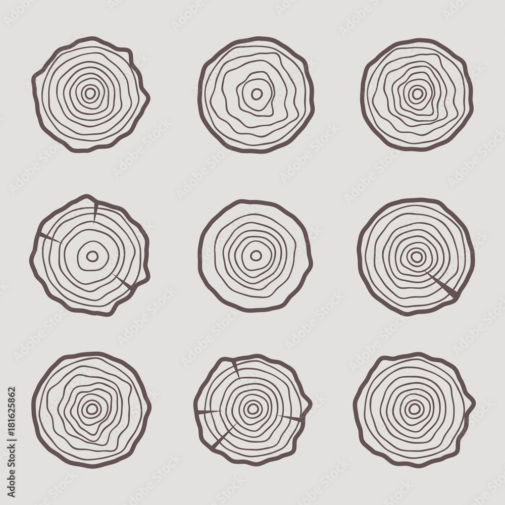 Tree rings icons vector illustration. Abstract age annual. Circle tree background Tree rings icons vector illustration. Abstract age annual. Circle tree background