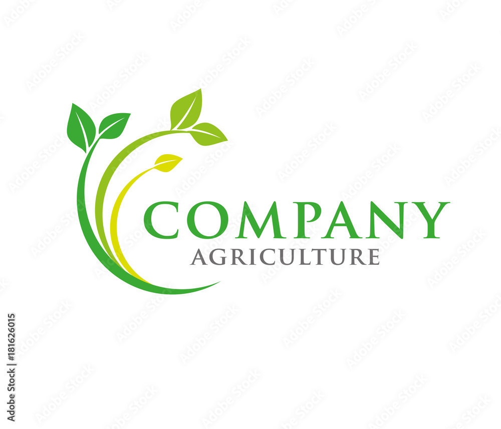 Fototapeta premium circle leaf logo