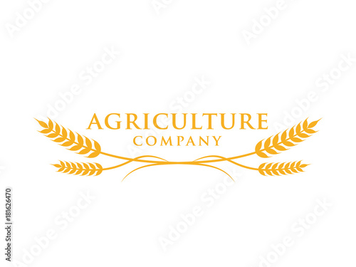 wheat plant technology agriculture