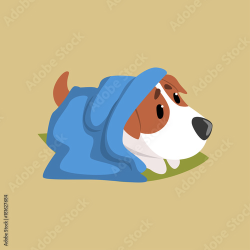 Jack russell puppy character lying on the floor under blue plaid, cute funny terrier vector illustration