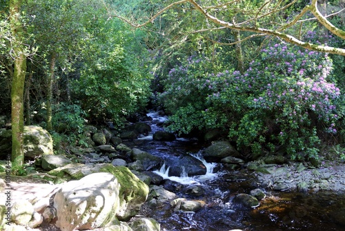 Photography Beautiful Irish Landscape