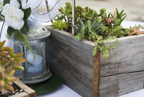 Succulent Table Decorations