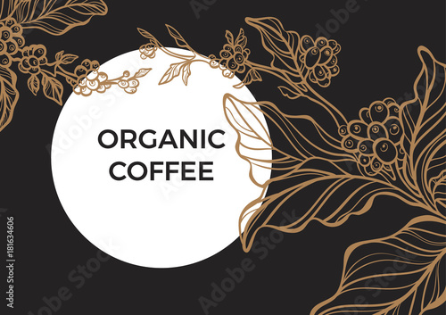 Coffee branch with leaves and natural coffee beans. Retro vintage vector. Template