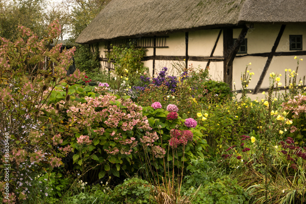 Reetdachhaus auf Fischland in Mecklenburg-Vorpommern