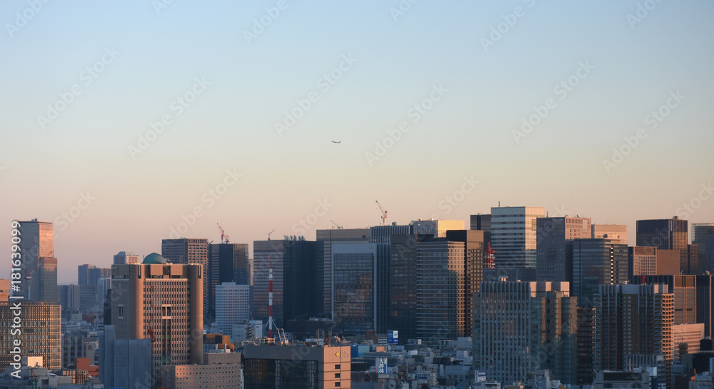 日本の東京都市景観・高層ビル群と飛行機（大手町などの高層ビル群などを望む）