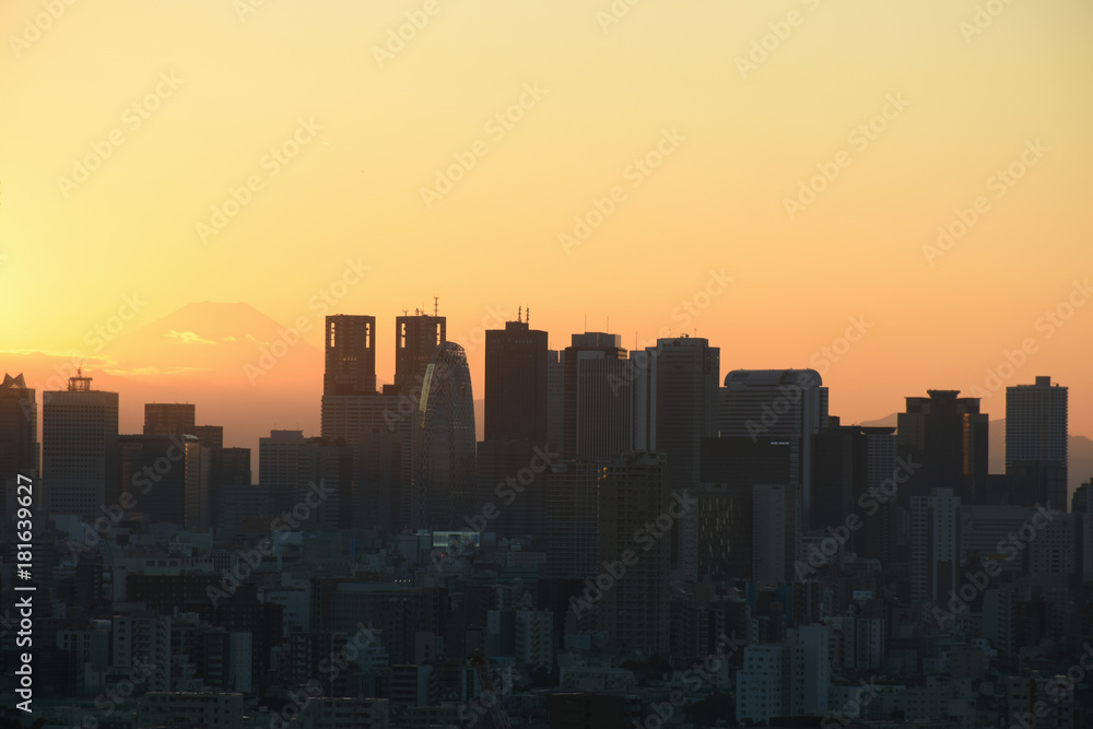 Fototapeta premium 夕景・東京都心から見える富士山と新宿区の高層ビル群