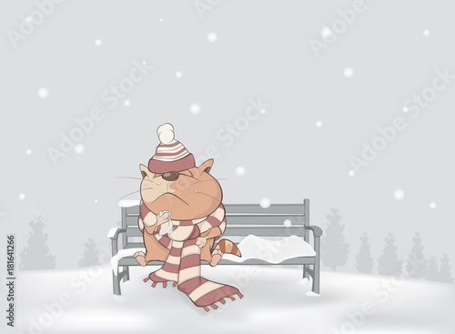 Does Your Cat Get Depression in Winter?  Illustration