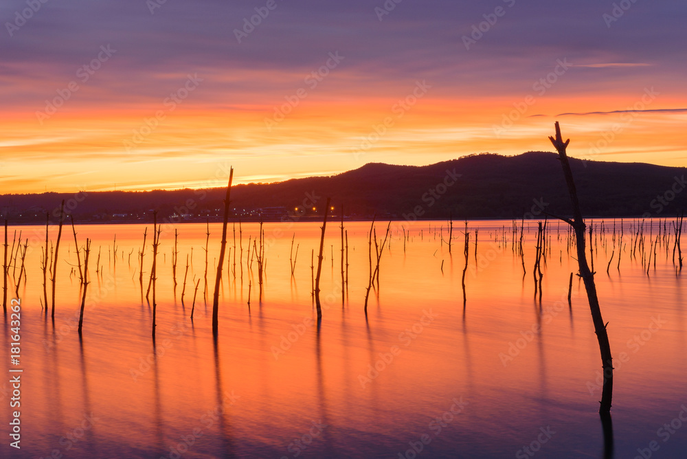 Dead forest in Ullibarri-Gamboa reservoir, Basque Country, Spain Dead forest in Ullibarri-Gamboa reservoir, Basque Country, Spain