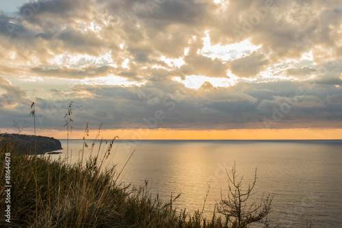 paesaggio mare al tramonto. cielo rosso   giallo in background. raggi solari sul mare. alberi   erba primo piano