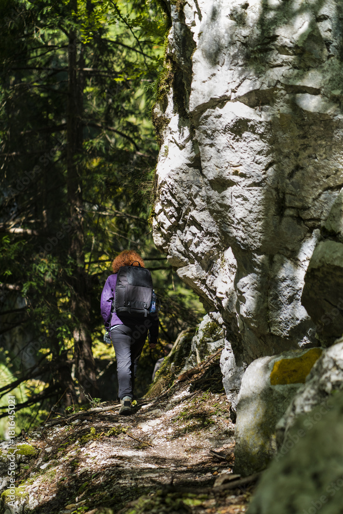 Woman hiker with backpack on a trail in the woods Woman hiker with backpack on a trail in the woods