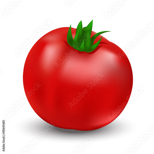 realistic tomato 