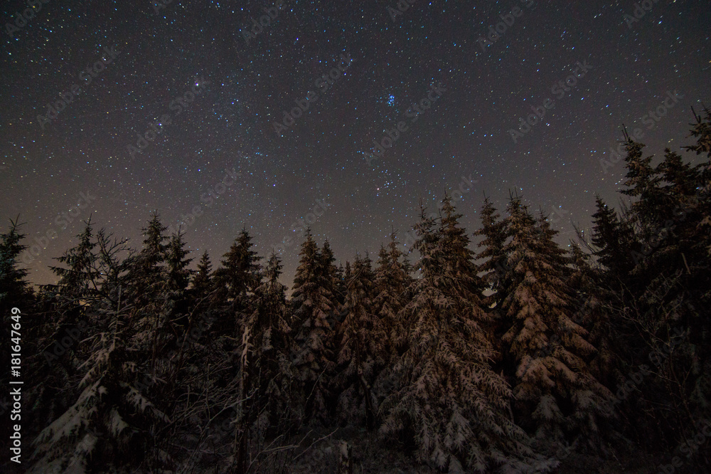 Fototapeta premium Snowy forest under stars.