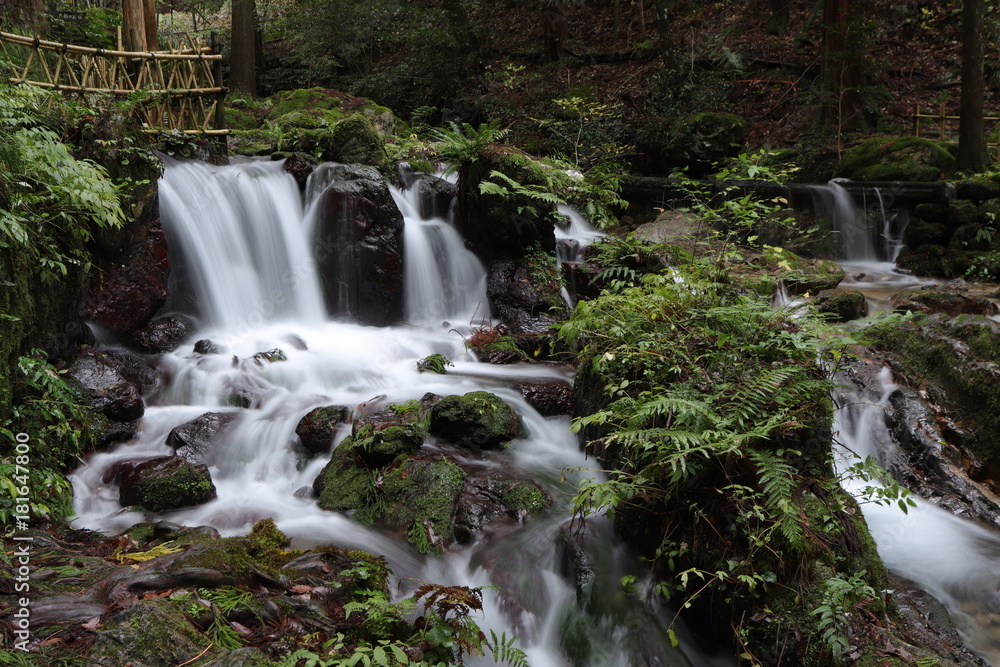 Fototapeta premium 瓜割の滝