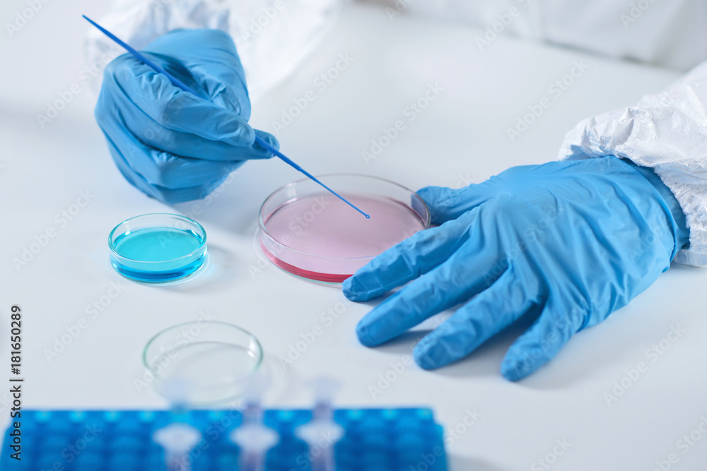 Fototapeta premium Microbiology lab