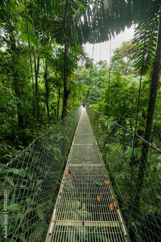 Fototapete Hanging suspension bridge in Monteverde cloud forest reserve Costa Rica