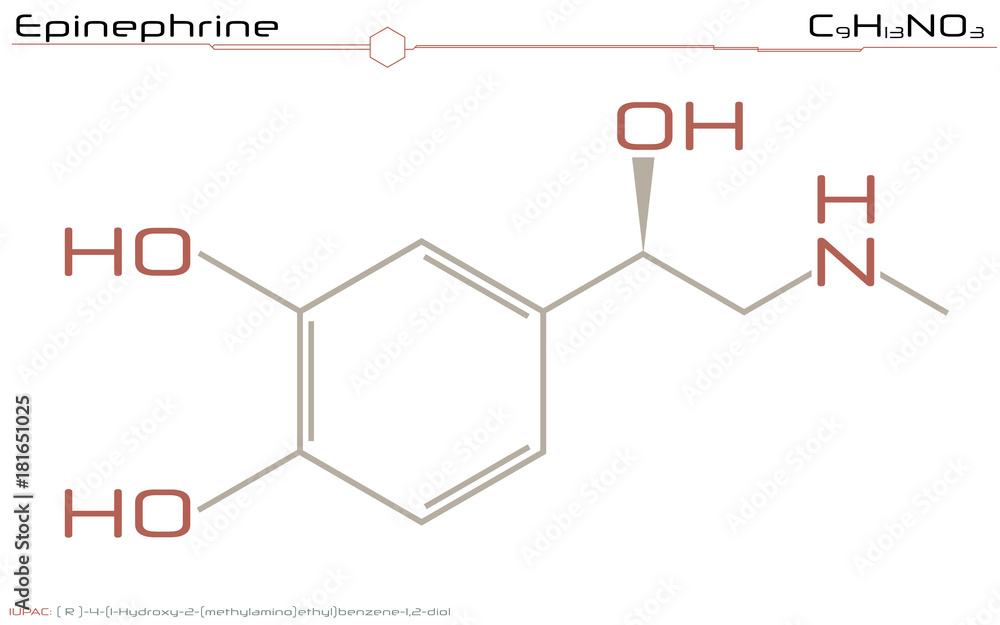 Large and detailed illustration of the molecule of Epinephrine Large and detailed illustration of the molecule of Epinephrine