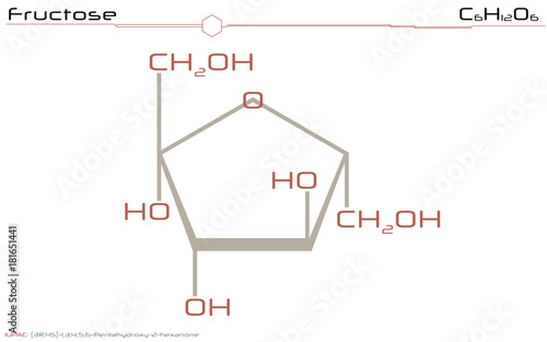 Large and detailed illustration of the molecule of Fructose