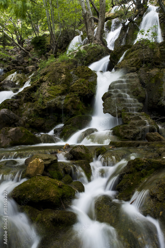 Fototapeta premium Waterfall in the forest