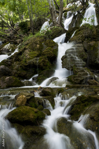 Waterfall in the forest