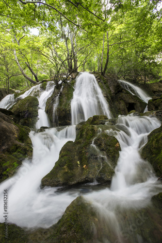 Waterfall in the forest