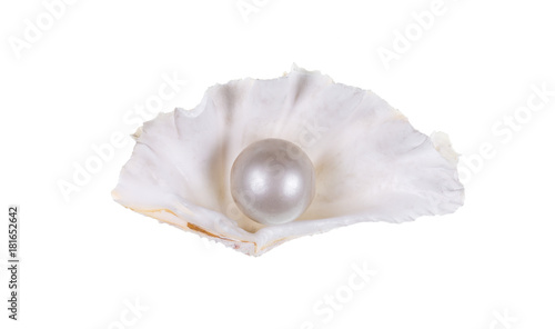 beautiful shell with a pearl