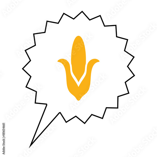 Mais - Aktion