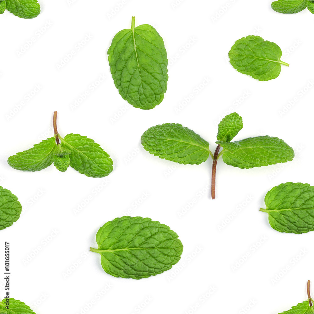 pattern sprig of green fresh mint pattern sprig of green fresh mint
