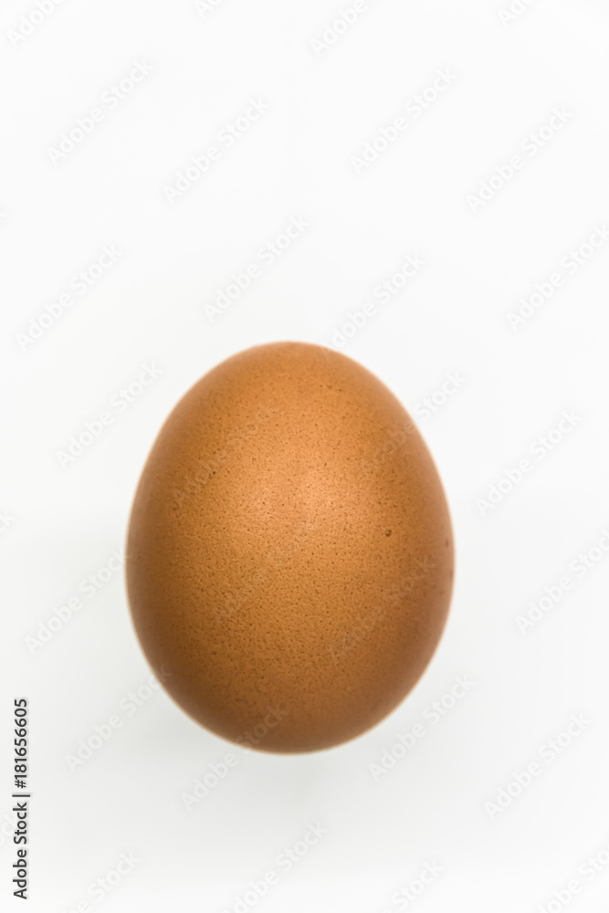 One Brown Egg in Front of White Background (slightly blurred on the side) One Brown Egg in Front of White Background (slightly blurred on the side)