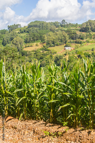 Farm in Valley and mountains in Nova Petropolis