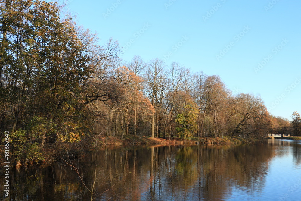autumn forest by the lake with reflection autumn forest by the lake with reflection