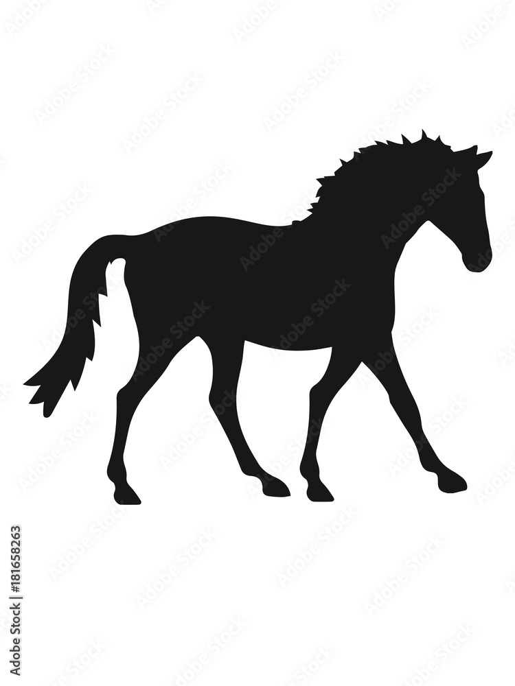 silhouette schwarz umriss pferd pony reiten schnell pferdchen klein spaß schnell comic cartoon reiter schön süß niedlich