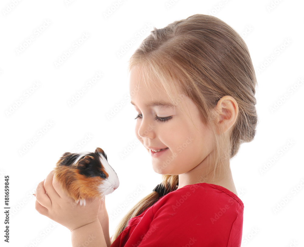 Cute girl with funny guinea pig on white background Cute girl with funny guinea pig on white background