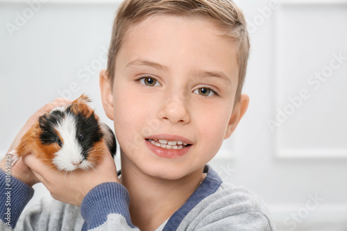 Cute boy with funny guinea pig, indoors photo