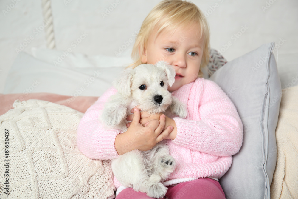 Little cute girl with puppy at home Little cute girl with puppy at home