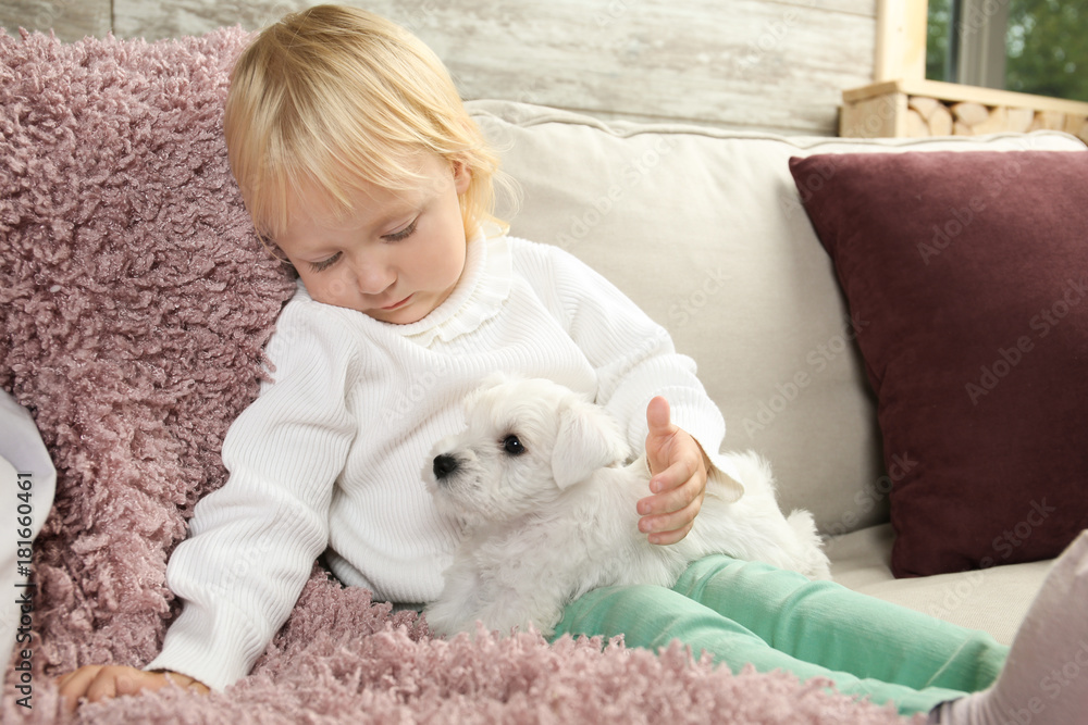 Little cute girl with puppy at home Little cute girl with puppy at home