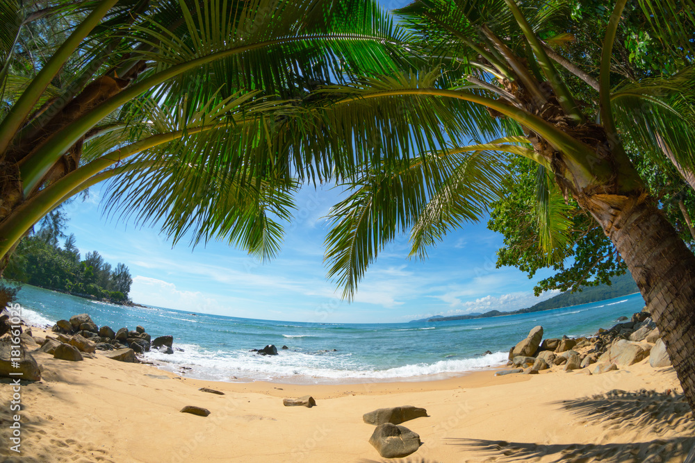 Wild deserted beach with coconut palms. Fisheye shot. Phuket, Thailand