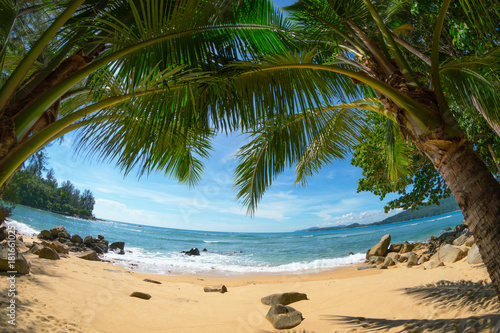 Wild deserted beach with coconut palms. Fisheye shot. Phuket  Thailand