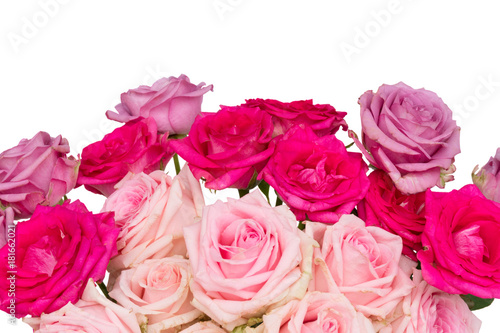 Fototapeta Naklejka Na Ścianę i Meble -  Bunch pink and violet blooming fresh rose flowers border isolated on white background