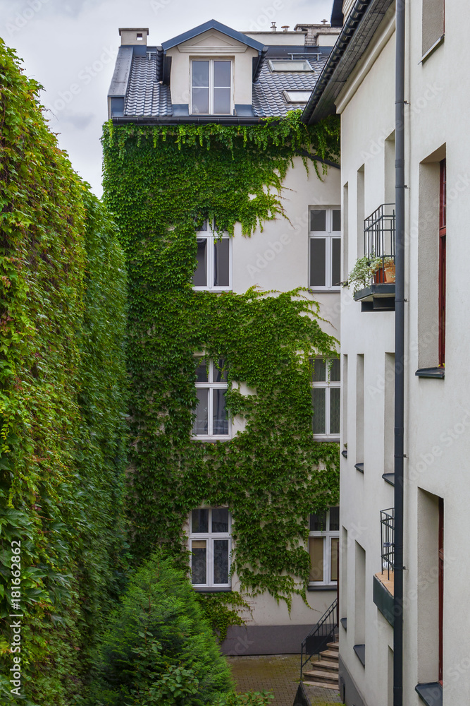 City patio with green plants
