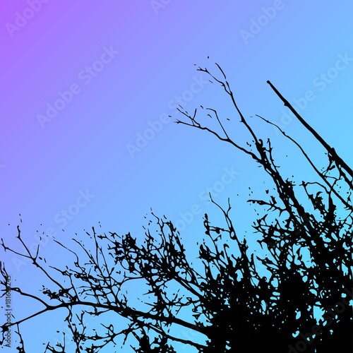 Vector grass and tree landscape silhouette. Realistic tree folliage silhouettes in night and evening sky. Outdoor nature scene, view at tree and night sky from below
