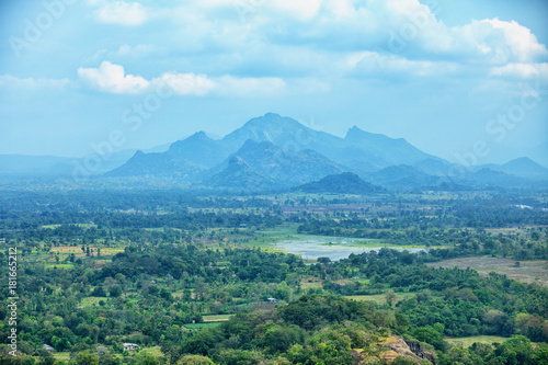 View from the Sigiriya rock. Sri Lanka