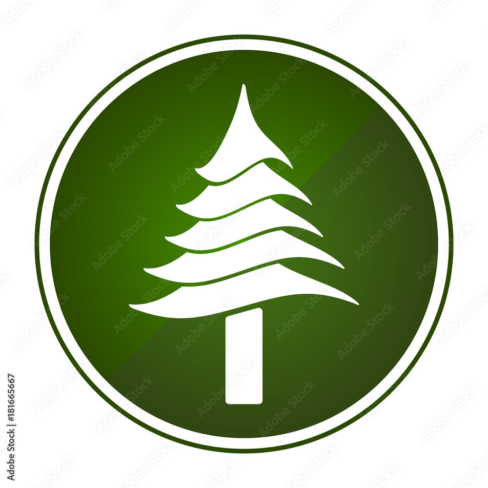 Christmas tree icon Christmas tree icon