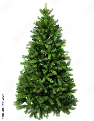 Green Pine, christmas tree isolated on white closeup